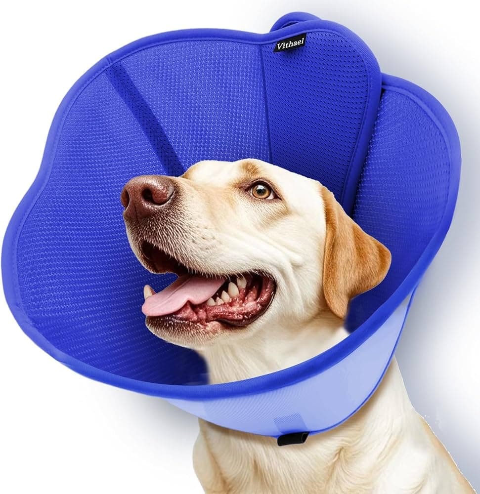 Collar de cono para perro